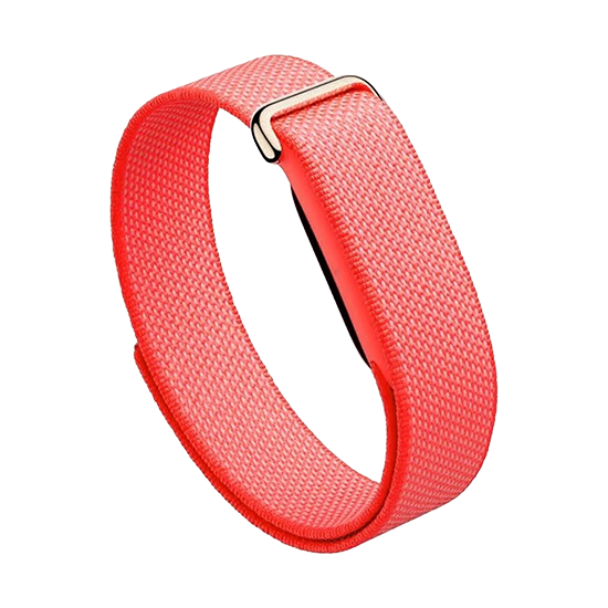 Watch Google Fitbit Air – Berry