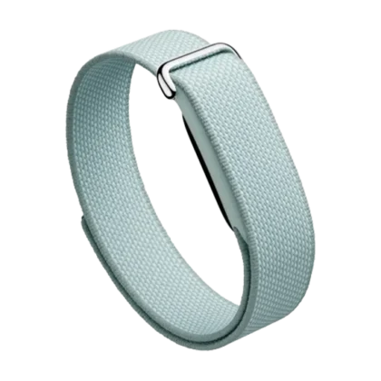 Watch Google Fitbit Air – Fog