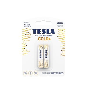 TESLA Alkaline battery AAA GOLD+[2×120]