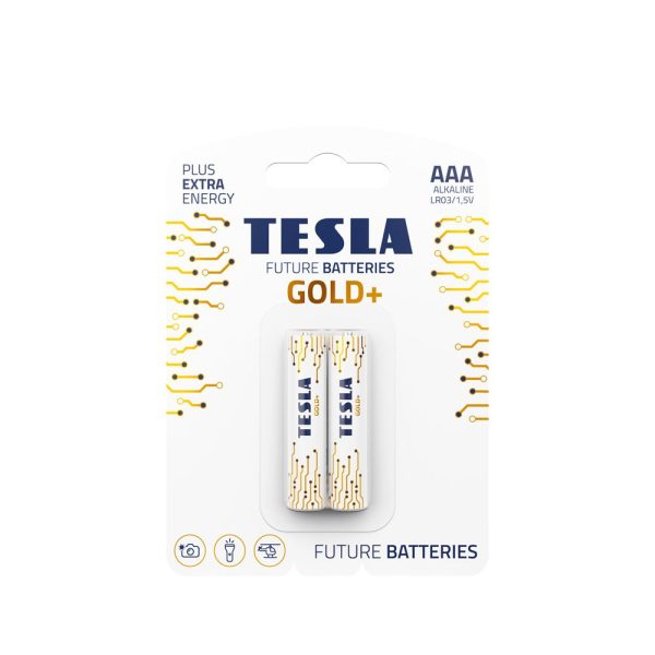 TESLA Alkaline battery AAA GOLD+[2×120]