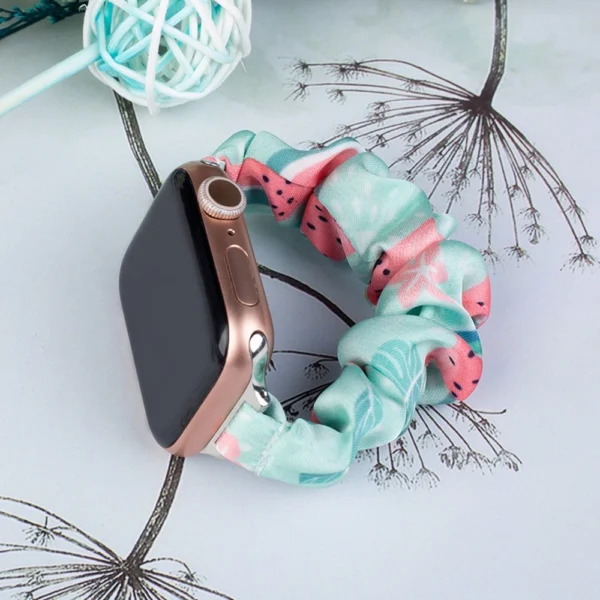 Cloth Watch 7 band 7/6/5/4/3/2 / SE (45/44 / 42mm) strap bracelet bracelet on elastic watermelon