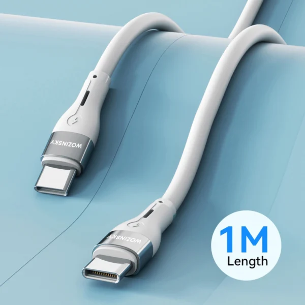 WSTCC1 USB-C / USB-C PD 65W cable 1 m long - white