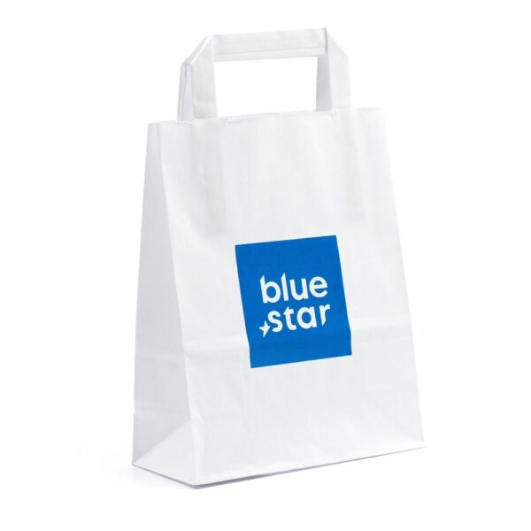 Blue Star paper bag – pack of 10